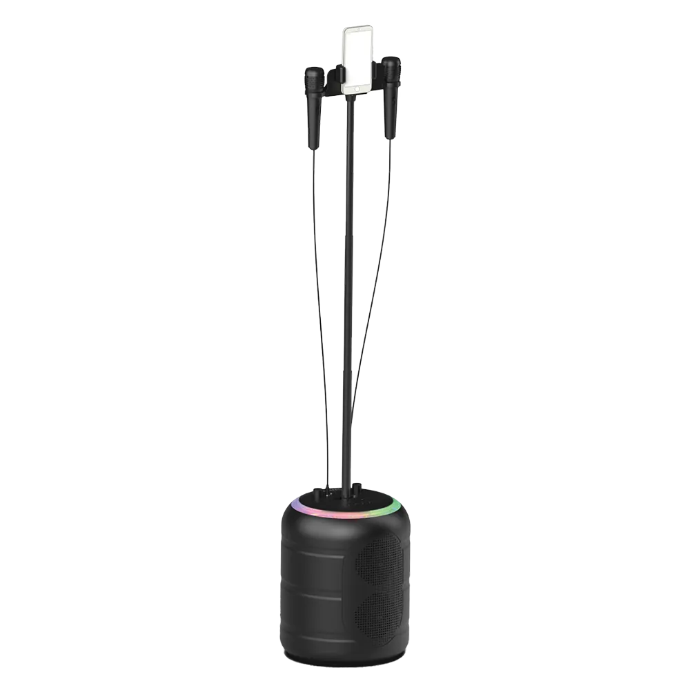AIWA Karaoke Speaker with Microphones & Stand