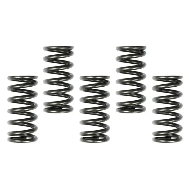 Apico Racing Clutch Kit - Husqvarna