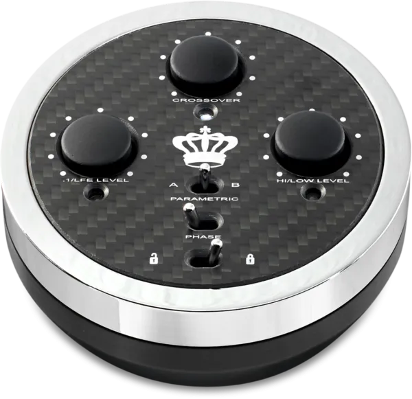 REL No.31 Reference Series 12" Subwoofer